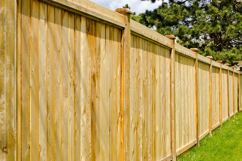 Fence Repairs