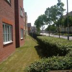 garden care 01