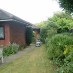 garden care 08