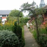 garden care 10