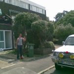 garden care 19