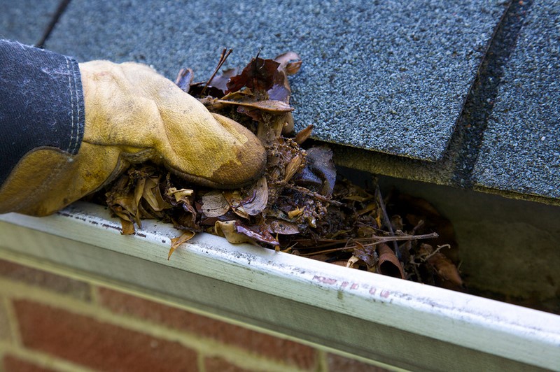 Gutter Clearing